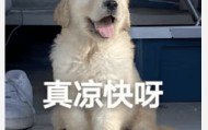 醒来“天塌了”！深圳一女子眼睛闭不上、嘴巴漏水！这些错误很多人会犯