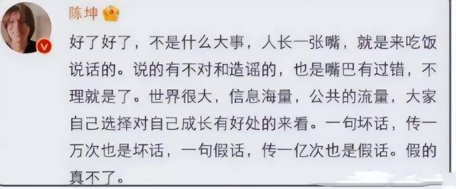 陈坤的儿子已成年，容貌开始显现母亲的基因，像谁可以认得出吗？