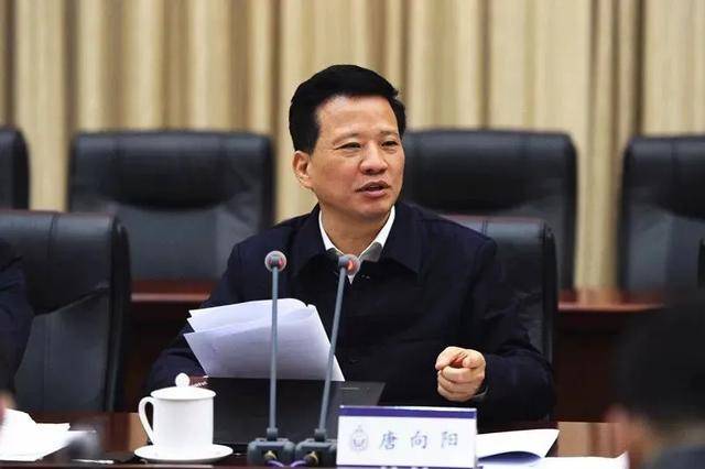 唐向阳被查