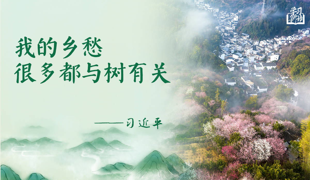 学习新语｜“义务植树是全民行动”