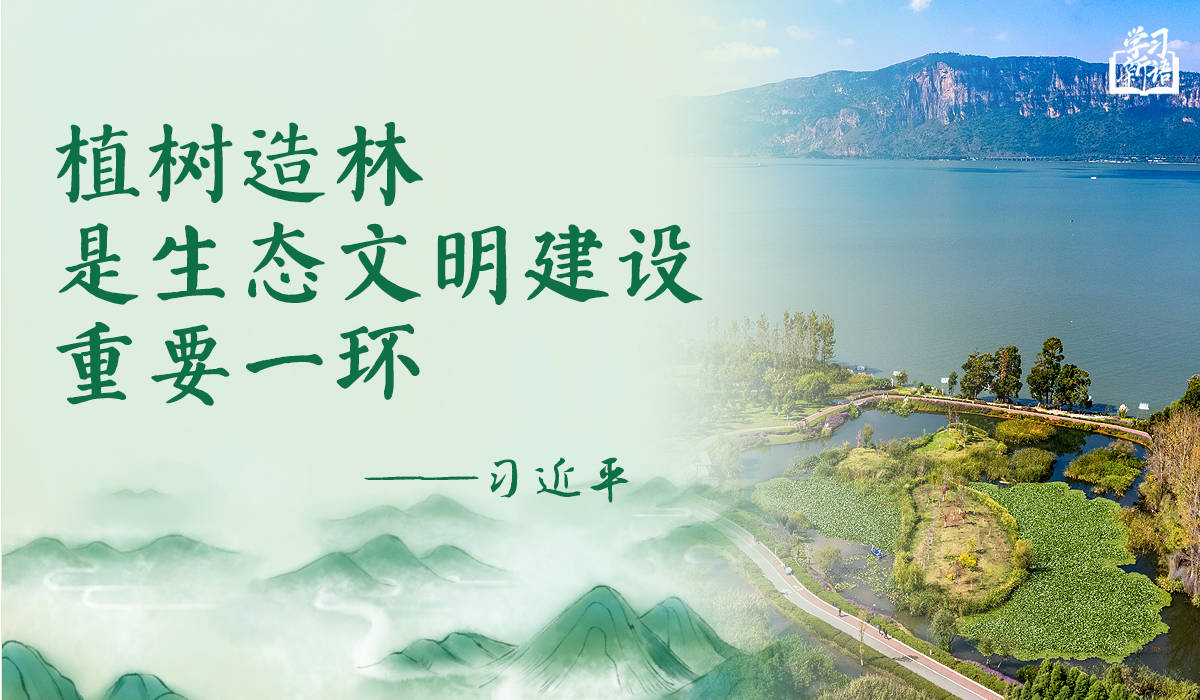 学习新语｜“义务植树是全民行动”