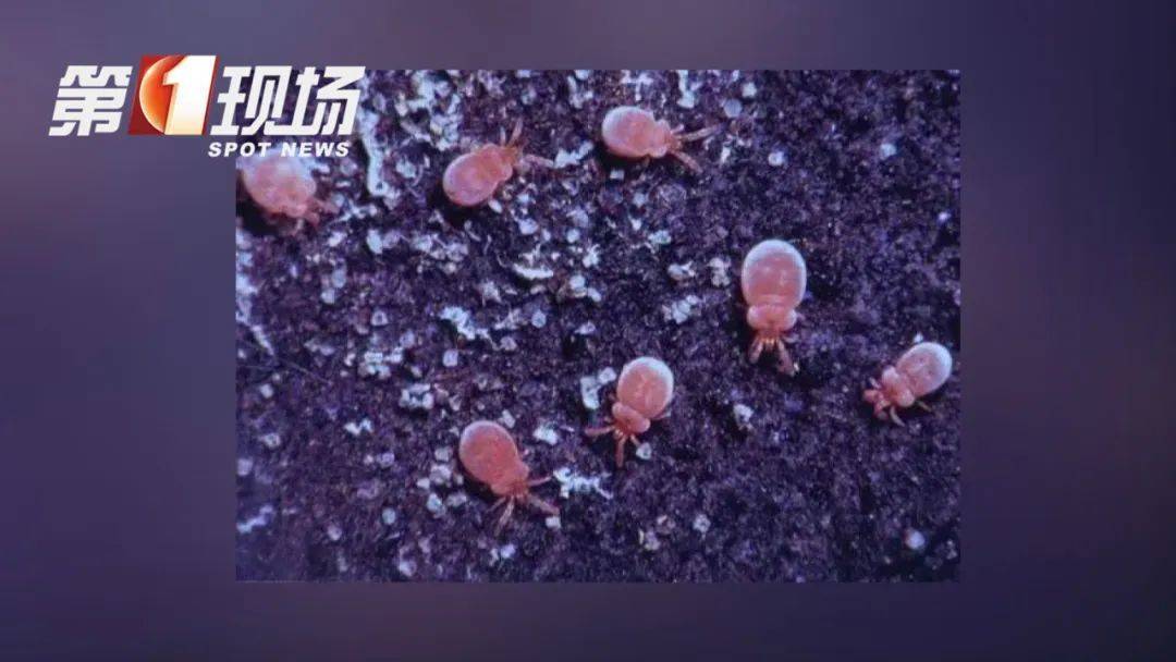 穿长袖！穿长袖！深圳入夏后，出门务必注意→