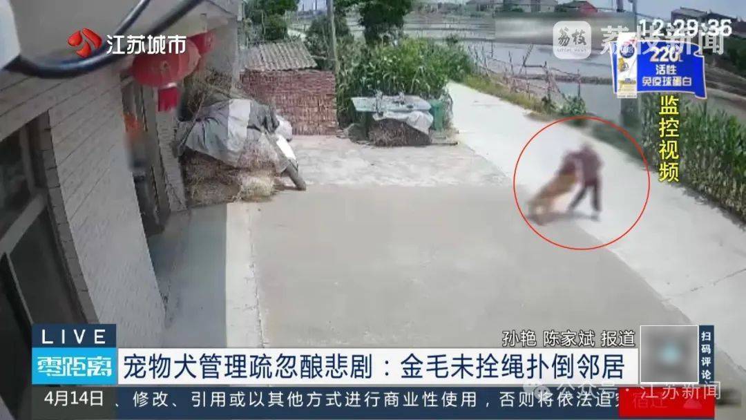 八旬老人被金毛扑倒致死，邻居不愿赔10万，法院：赔40万！