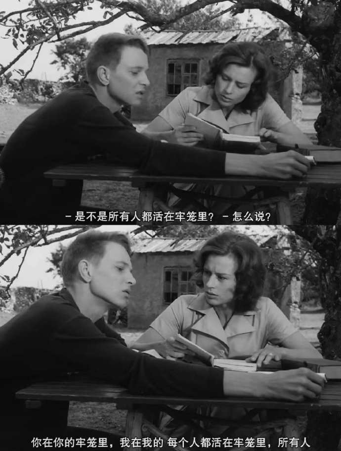 300起步的“县城鸟”，被中产抢疯了
