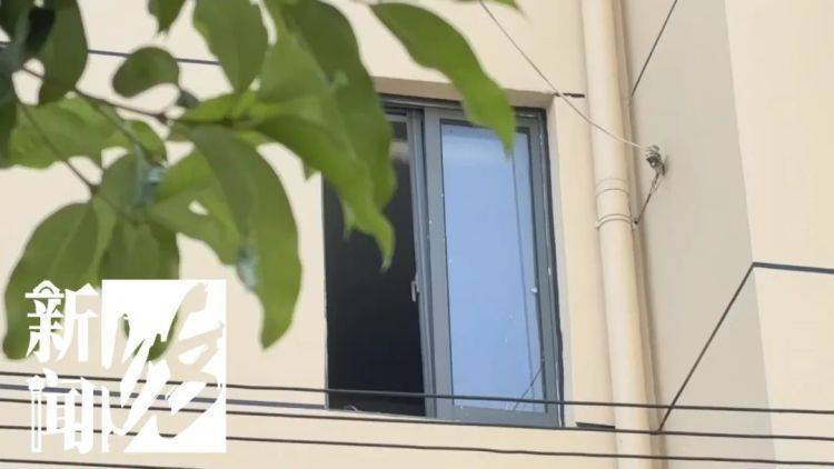 被折磨到崩溃！上海一九旬老太每天定时“输出”，邻居被迫“魔法打魔法”