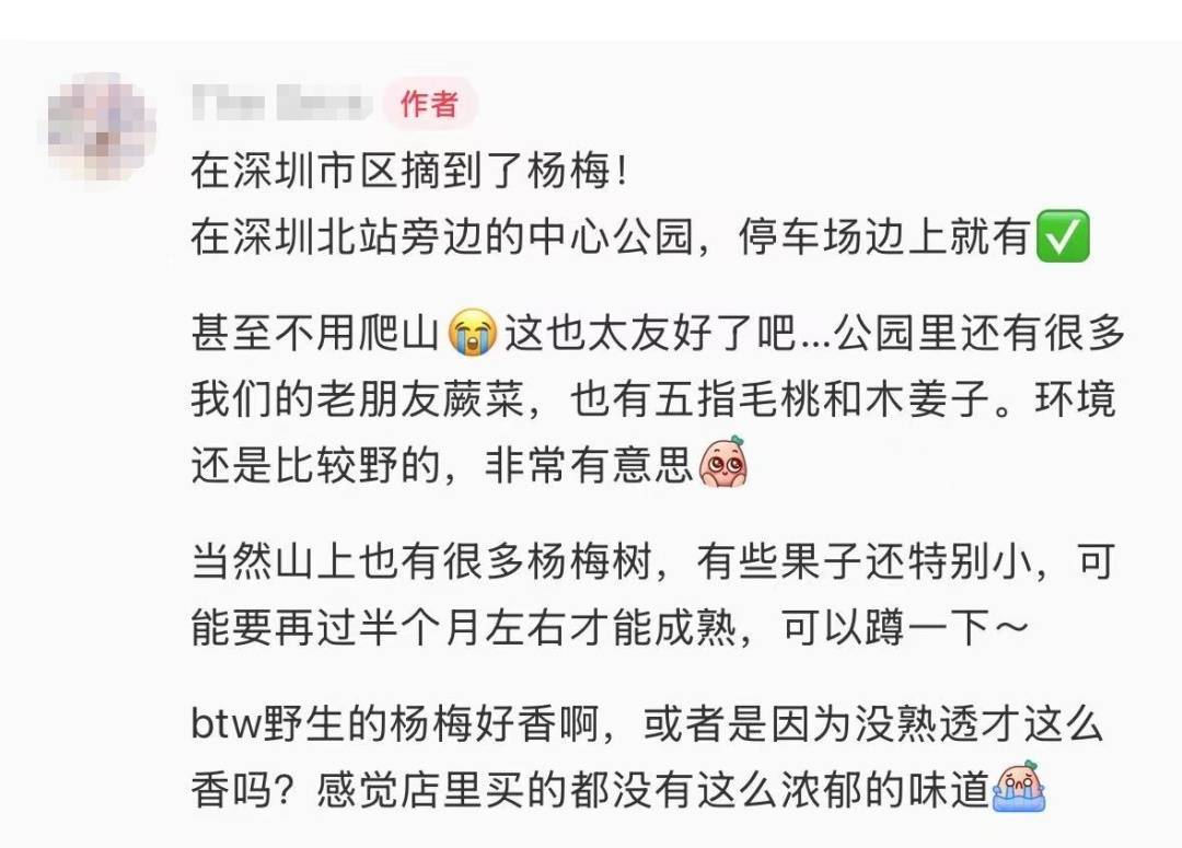 官方回应“网传深圳北站中心公园可以摘杨梅”