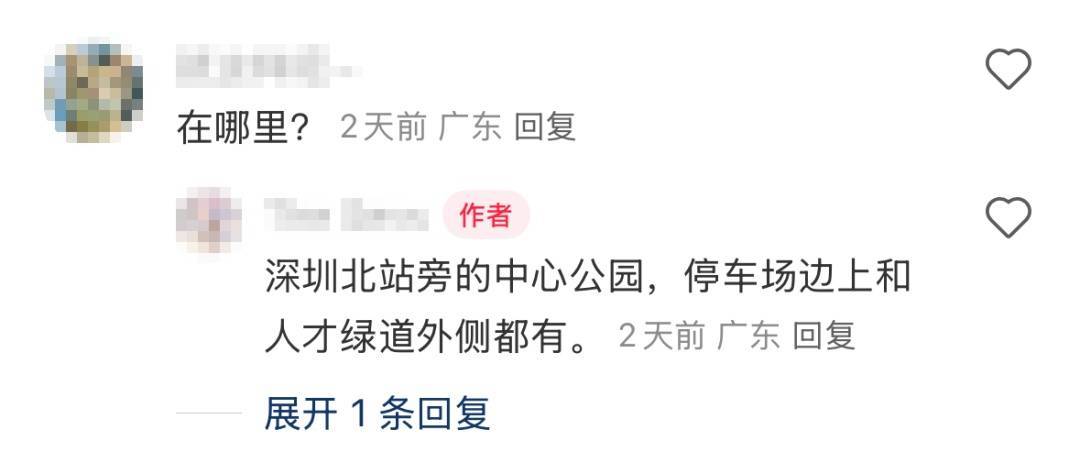 官方回应“网传深圳北站中心公园可以摘杨梅”