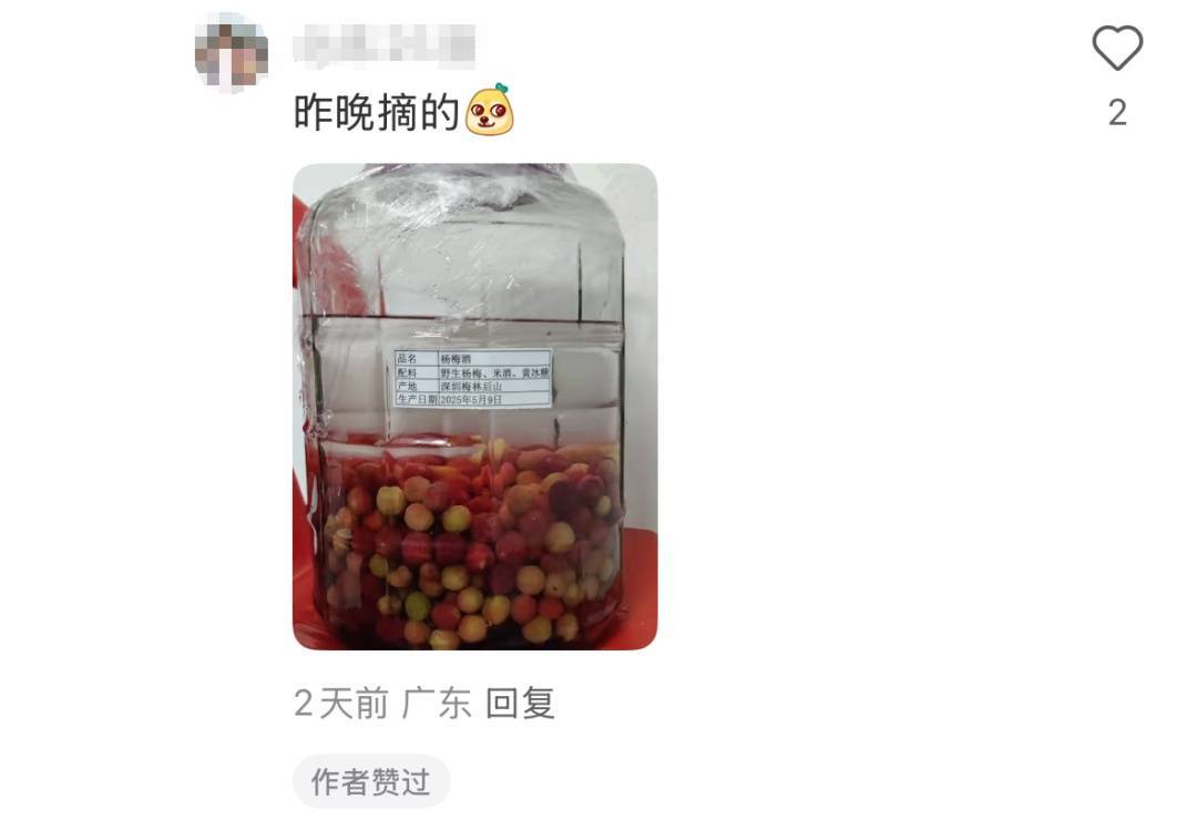 官方回应“网传深圳北站中心公园可以摘杨梅”