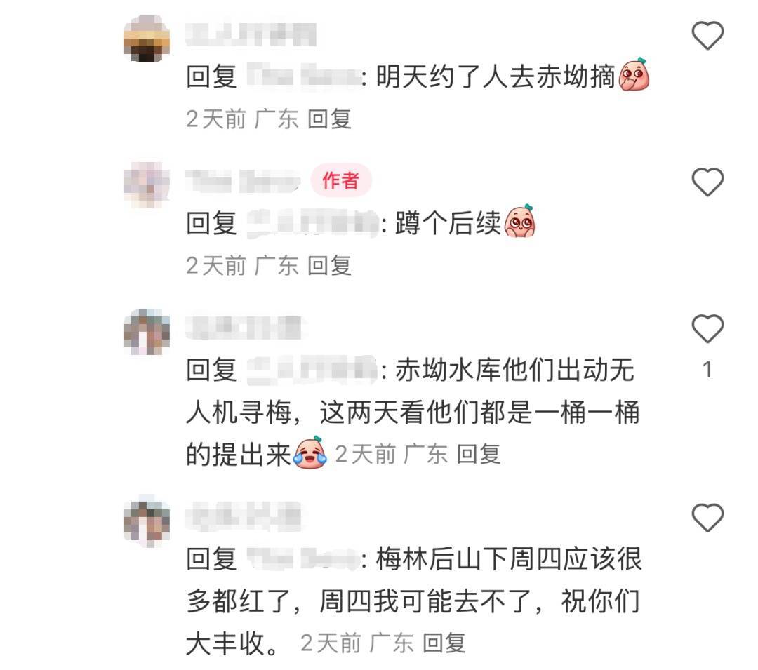 官方回应“网传深圳北站中心公园可以摘杨梅”
