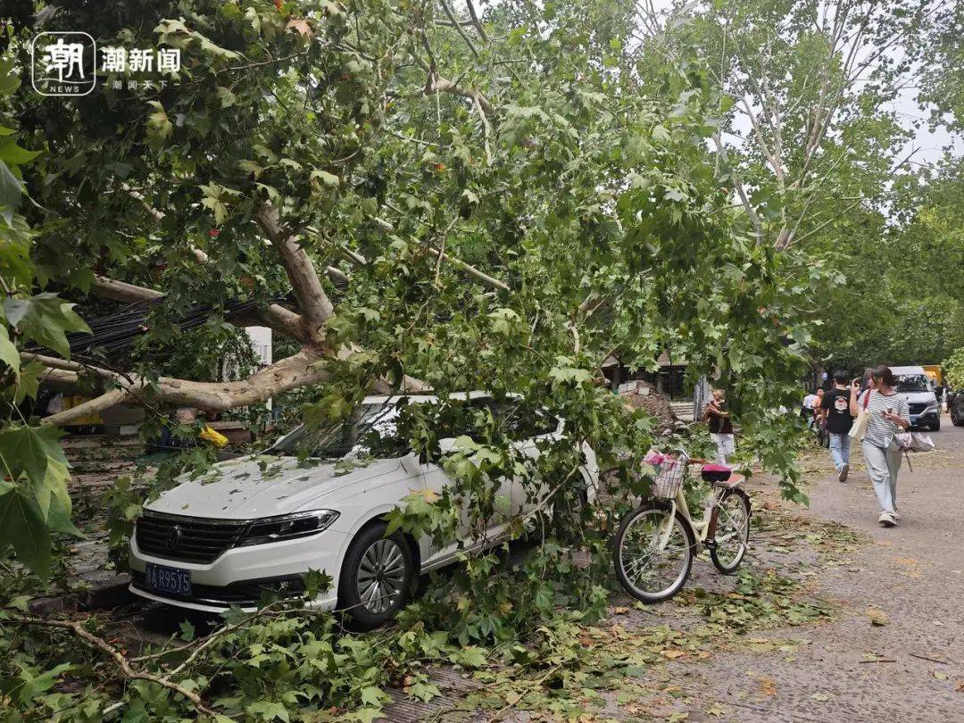 今天更猛：浙江午后局地暴雨、11级雷暴大风、小冰雹！台风“蓝湖”或将生成
